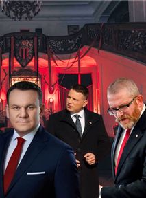 "Mafia IRL" w Sejmie? Którzy polscy politycy sprawdziliby się w programie Friza