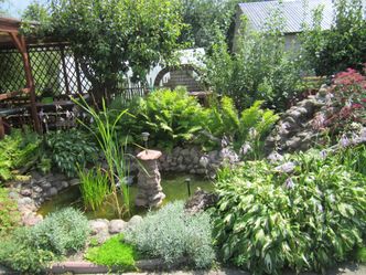 Dopłaty do oczka wodnego. W pierwszym dniu ponad tysiąc wniosków