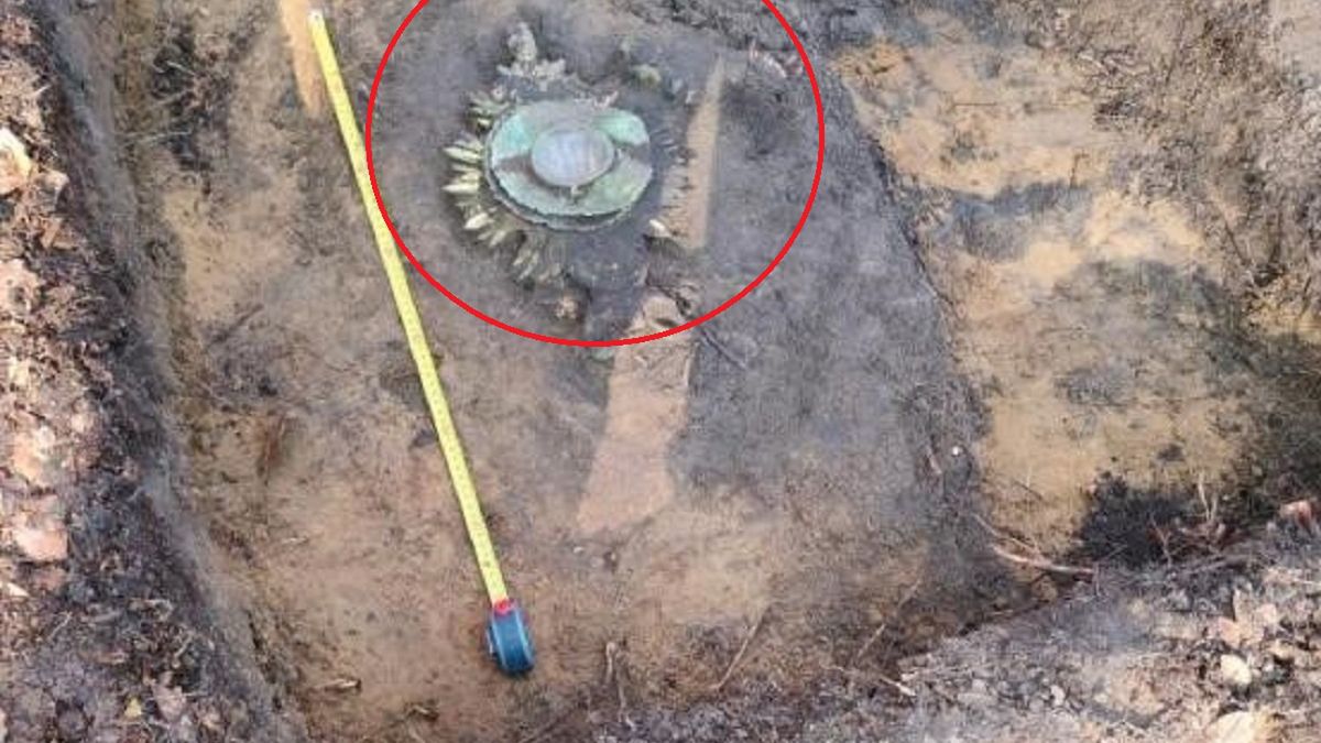 Taki skarb znaleźli w ziemi. 