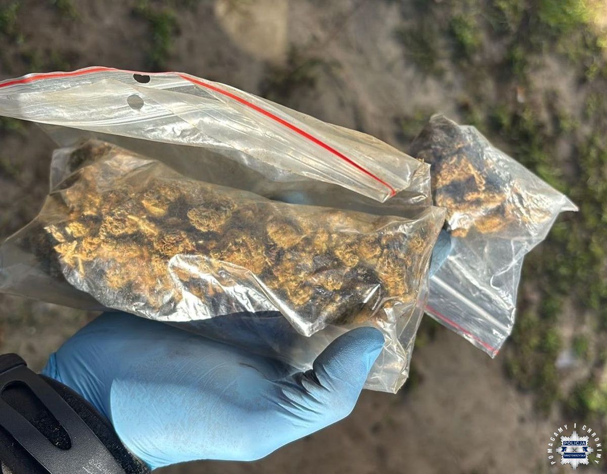 Starachowice: Policja znalazła kilkanaście kilogramów narkotyków