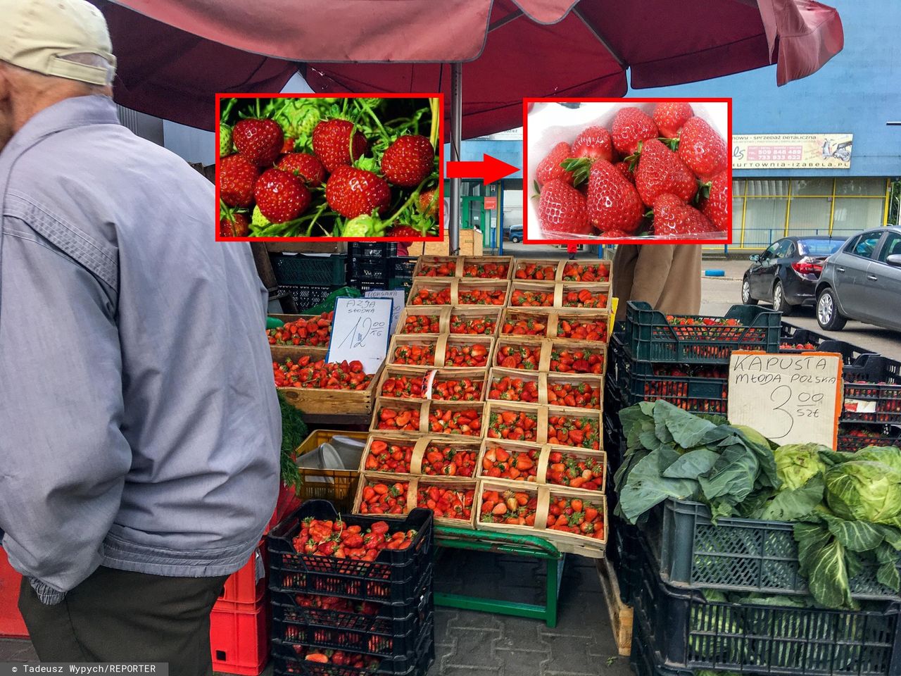 Ewolucja polskiej truskawki. Słodka odmiana przegrała z prawami rynku