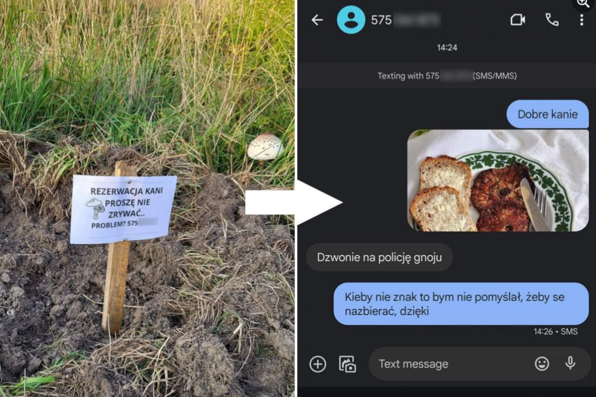 Tak w oryginale wyglądała konwersacja pomiędzy grzybiarzami