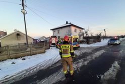 Pies zagryzł ośmiolatka. Dramat w Łódzkiem