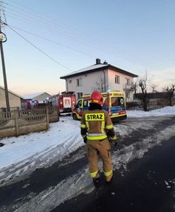 Pies zagryzł ośmiolatka. Dramat w Łódzkiem