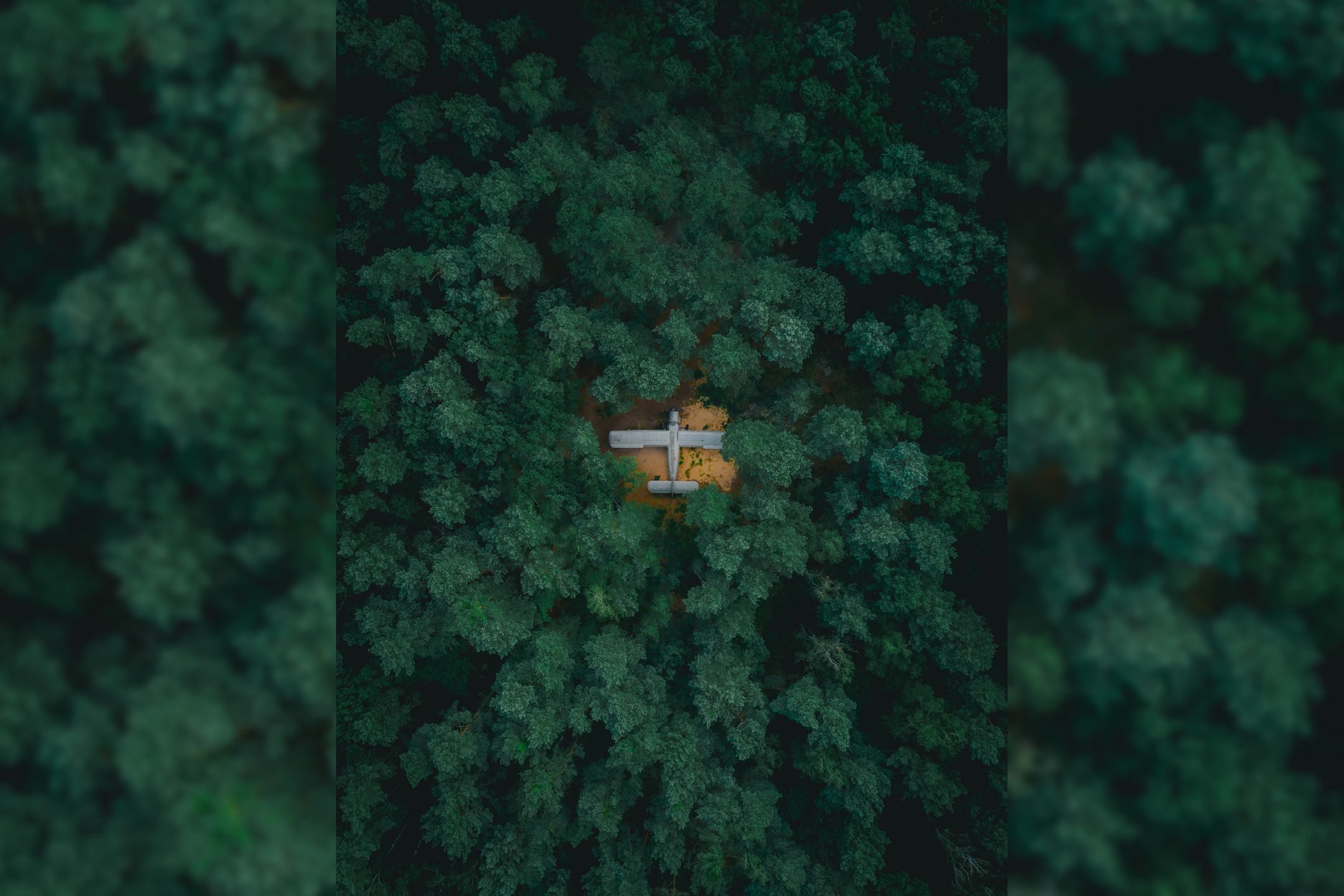 Antonow An-2 ukryty w podwarszawskim lesie. Znalazł go Damian Stęporowski 1