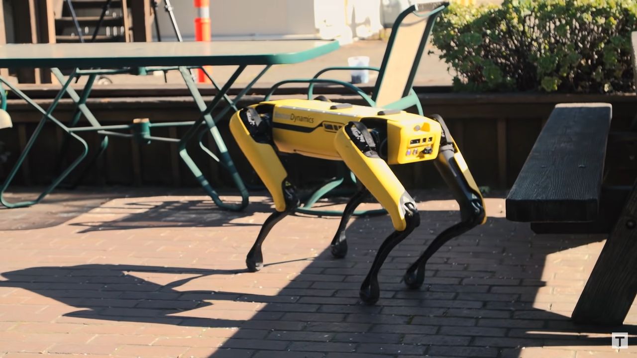 Pies robot od Boston Dynamics.