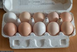 Brązowe jajka znikają z półek. Wiemy, co będzie z nimi w Polsce