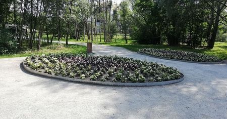 Wrocław. Powstanie park Leonarda da Vinci. Urządzenia będą nawiązywać do projektów Włocha
