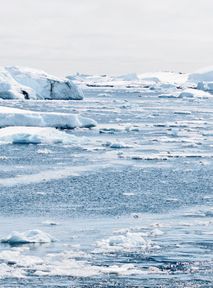 Alarmingly low sea ice level in Antarctica. Experts alarm