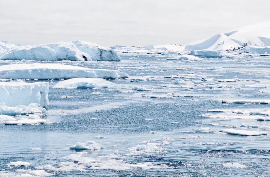 Alarmingly low sea ice level in Antarctica. Experts alarm