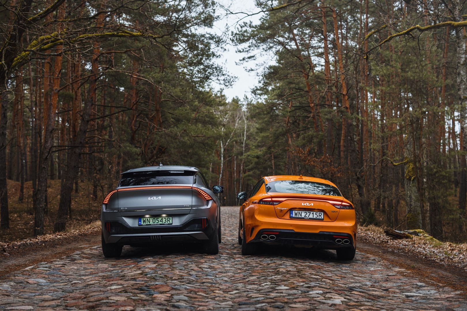 Kia Stinger GT vs. EV6 GT