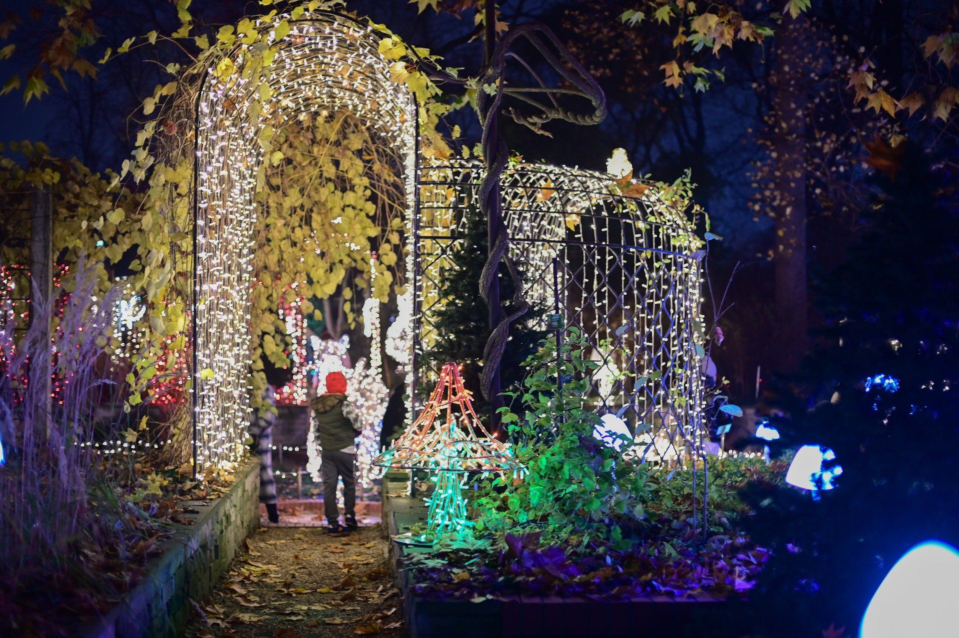 Magiczny Botaniczny powrócił w wielkim stylu