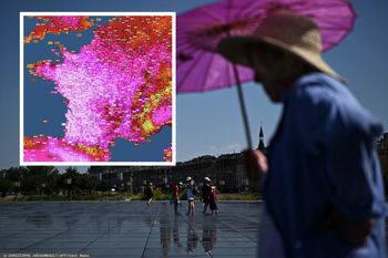 Rekord temperatur we Francji. Takiego pomiaru jeszcze nie było