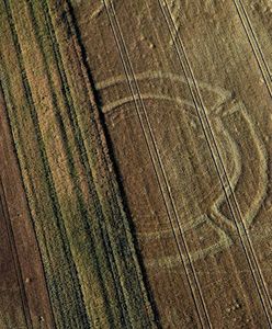 Tajemnicze kręgi na polach sprzed 7 tys. lat. Niezwykłe odkrycie na Dolnym Śląsku
