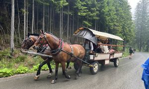 Elektryczne busy do Morskiego Oka wstrzymane. TPN ujawnia szczegóły