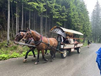 Elektryczne busy do Morskiego Oka wstrzymane. TPN ujawnia szczegóły