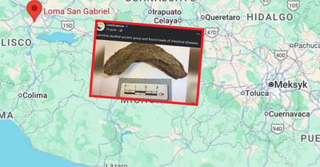 Zbadali odchody sprzed 1300 lat. Odkrycie   zaskoczyło naukowców