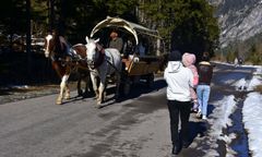 Konie nie zawiozą już turystów na Morskie Oko. Wiadomo, co je zastąpi