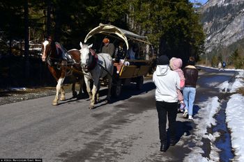 Konie nie zawiozą już turystów na Morskie Oko. Wiadomo, co je zastąpi