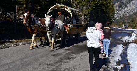 Konie nie zawiozą już turystów na Morskie Oko. Wiadomo, co je zastąpi