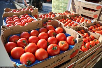 Są pierwsze ceny warzyw. Kilogram pomidorów nawet za 27 zł