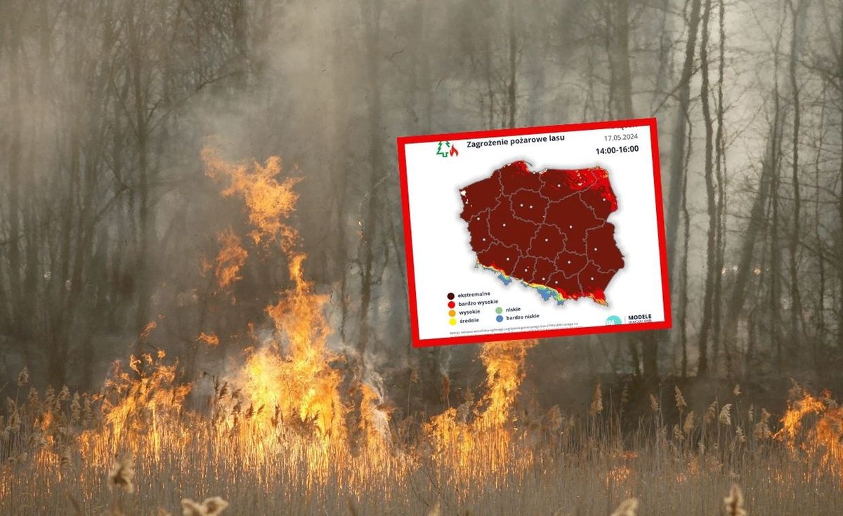 Na obszarach leśnych w całym kraju występuje zagrożenie pożarowe
