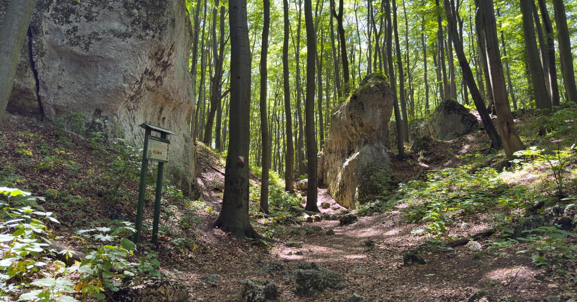 Rezerwat Przyrody Pazurek
