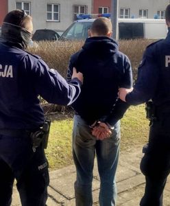 Śląskie. Brutalny atak nastolatków na policjanta, który próbował zapobiec kradzieży