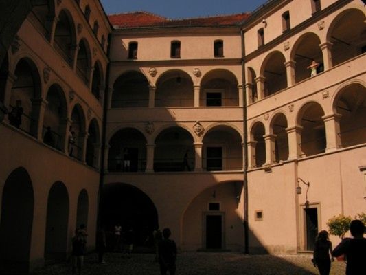 Obraz