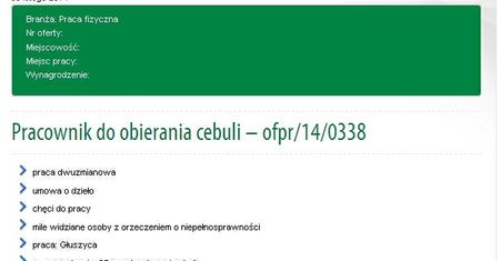Szukają chętnych do obierania cebuli