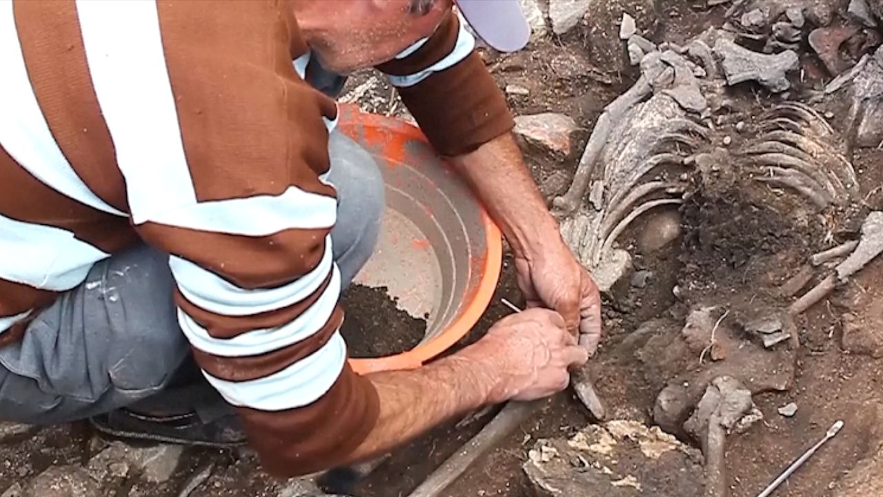 Prehistoryczne odkrycie pod ziemią. Przeleżało 3 tys. lat
