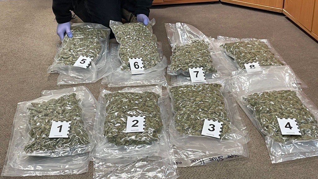 "Hiszpański prezent z marihuaną – KAS w Łodzi przechwyciła prawie 13 kg suszu wartego ponad 635 tys. zł"