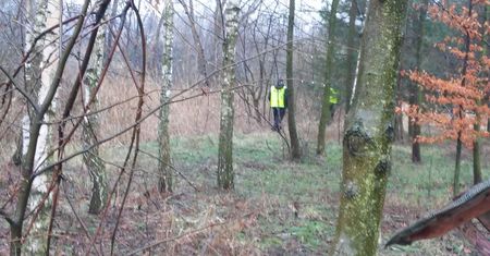 Grzybiarz zgubił się w lesie. Postawił na nogi policję