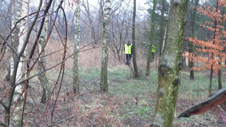Podkarpacie. Policjanci dwie godziny szukali 73-letniego grzybiarza