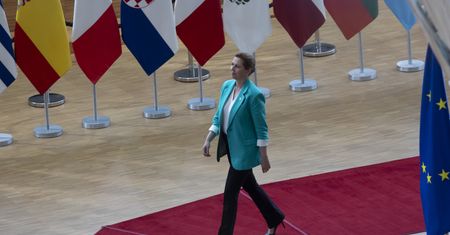 Wiadomo co z Polakiem, który miał uderzyć premier Danii. Sąd zdecydował