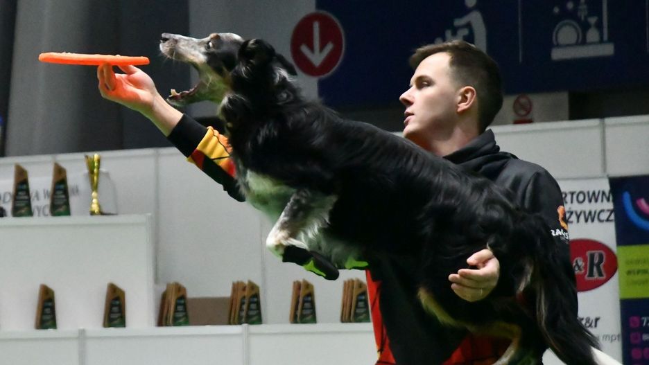 ....................................