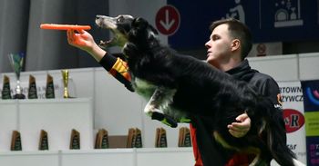 Kielce: Międzynarodowa Wystawa Psów Rasowych. Dzień drugi