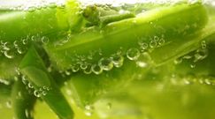 Fasolka szparagowa nie do końca bezpieczna dla zdrowia. Źle przyrządzona może zaszkodzić