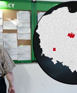 Polska niepracująca