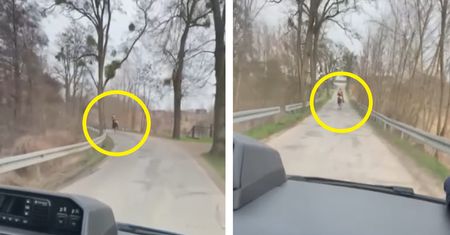 Uciekał przed policją na koniu. Źle się to dla niego skończyło