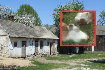 Sześć krów zginęło w męczarniach. Tuż przed tragedią oborę opuścił syn rolnika