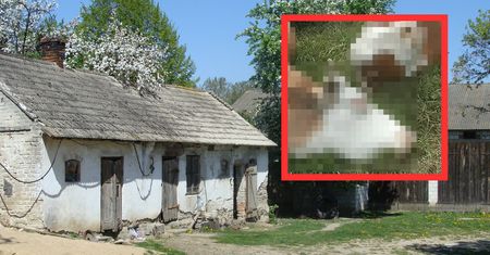Sześć krów zginęło w męczarniach. Tuż przed tragedią oborę opuścił syn rolnika