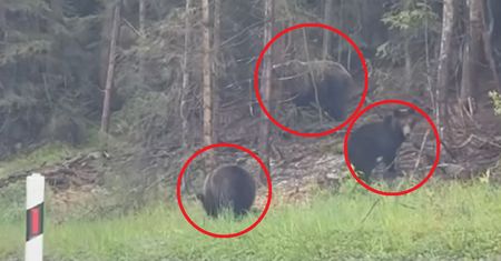 "Wesoła ekipa" na szlaku w Tatrach. Lepiej trzymaj się od niej z daleka