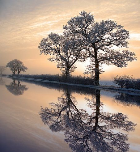 15 inspirujących zimowych fotografii [GALERIA] 11