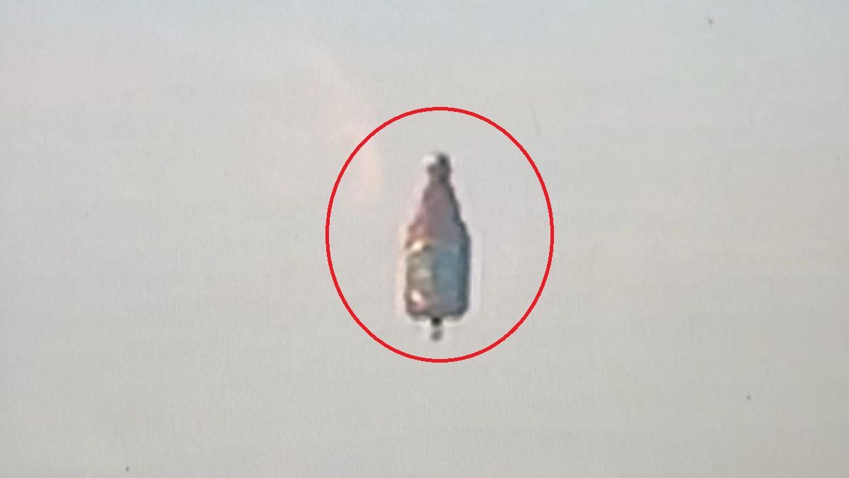 Taki widok nad lasami Nadleśnictwa Gniewkowo