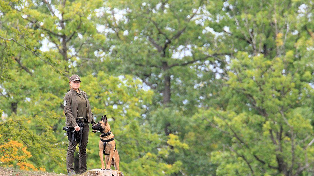 Funkcjonariuszka SL podczas patrolu