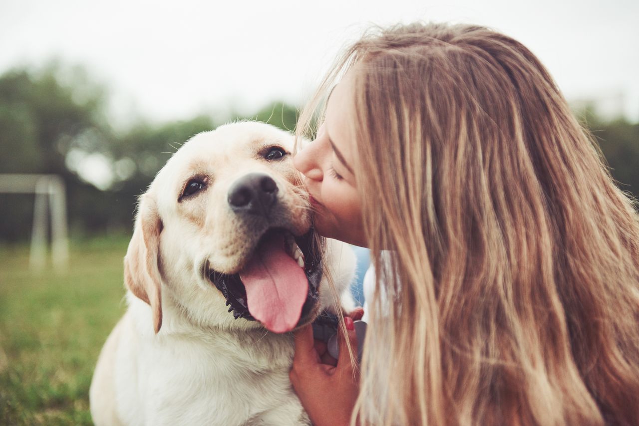 Pięć oznak, że twój pies jest szczęśliwy. Ostatnia jest wymowna