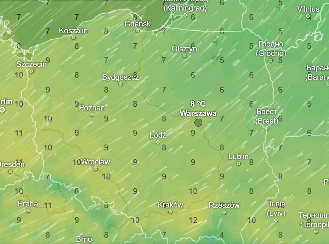 Niezwykły koniec roku. Pogoda zwariowała