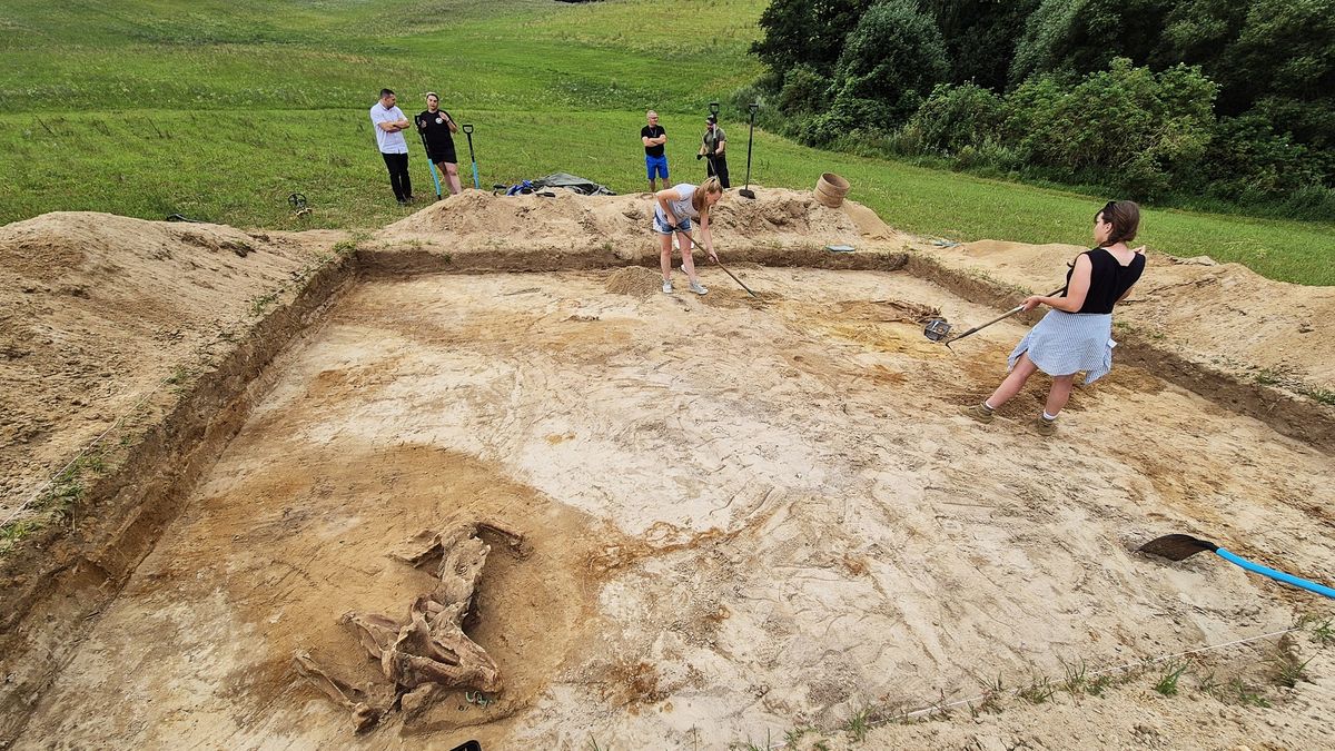 Cmentarzysko koni pod Mrągowem 