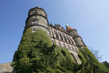 Oto 8 najstraszniejszych miejsc w Polsce, które warto odwiedzić. Na liście legendarne miejsca z Wielkopolski